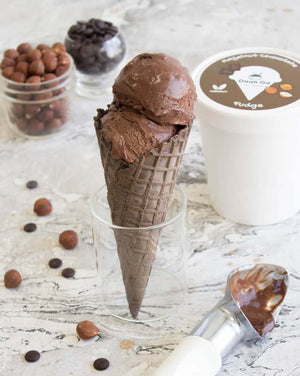 
                  
                    Hazelnut Chocolate Fudge Ice Cream
                  
                